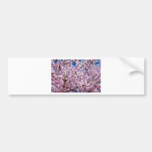 Adesivo Para Carro Flor de cereja japonesa