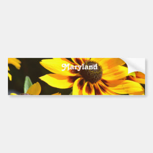 Adesivo Para Carro Flor de estado de Maryland
