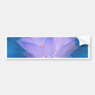 Adesivo Para Carro Flor Galáxico