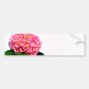 Adesivo Para Carro Flor rosa, cor-de-rosa, hydrangea, cor-de-rosa