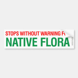 ADESIVO PARA CARRO FLORA NATIVA (GW)