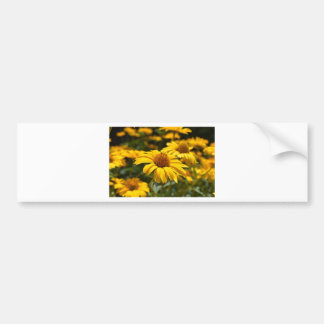Adesivo Para Carro flores-2824808