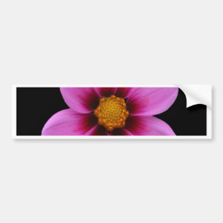 Adesivo Para Carro Flores bonitas
