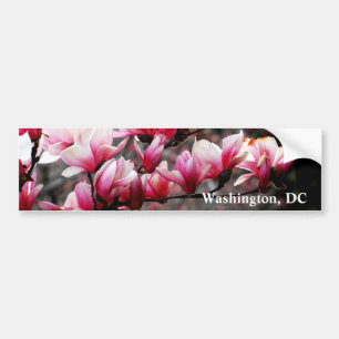 Adesivo Para Carro Flores da universidade de Georgetown, Washington,