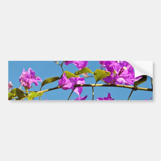 Adesivo Para Carro Flores de Bougainvillea (Frente)