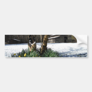 Adesivo Para Carro Flores de narciso na neve
