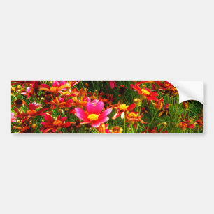 Adesivo Para Carro Flores selvagens brilhantes da margarida