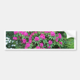 Adesivo Para Carro Floresta Rhododendron