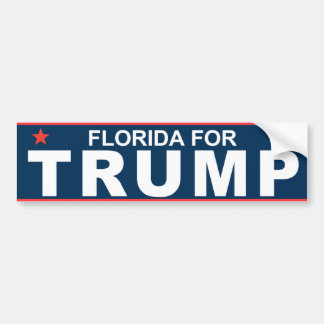 Adesivo Para Carro Florida para o trunfo 2016