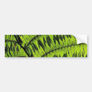 Adesivo Para Carro Folha verde Bumpersticker