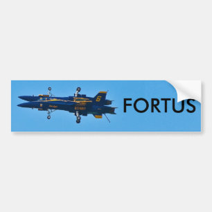 Adesivo Para Carro Fortus