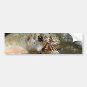 Adesivo Para Carro Foto do Rainbow Trout