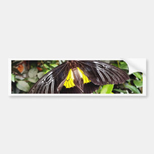 Adesivo Para Carro Fotografia bonito da borboleta amarela preta