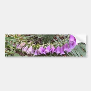 Adesivo Para Carro Fotografia da flor da Foxglove