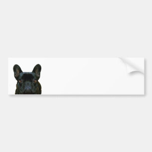 Adesivo Para Carro Fotografia francesa do Bulldog Negro e Bonito: