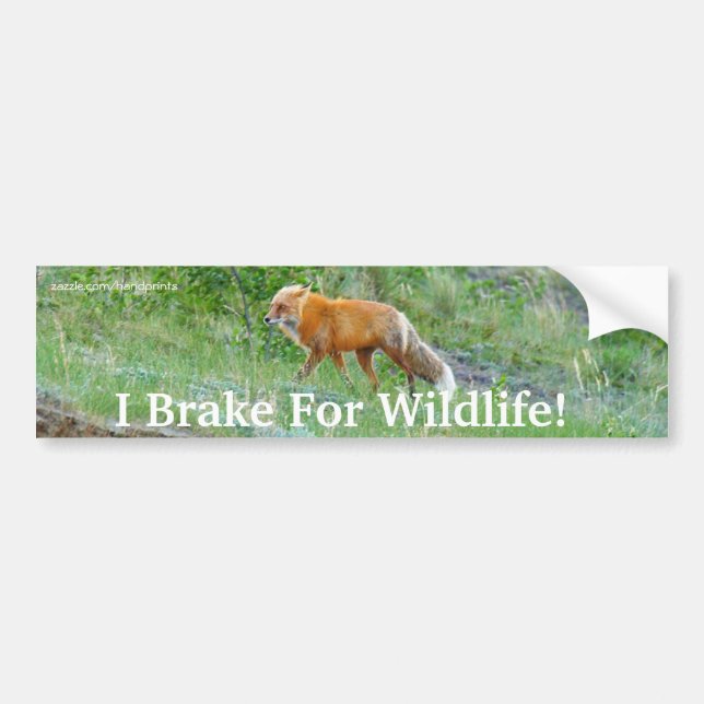 Adesivo Para Carro Fox Willife Protection Bumper Sticker (Frente)