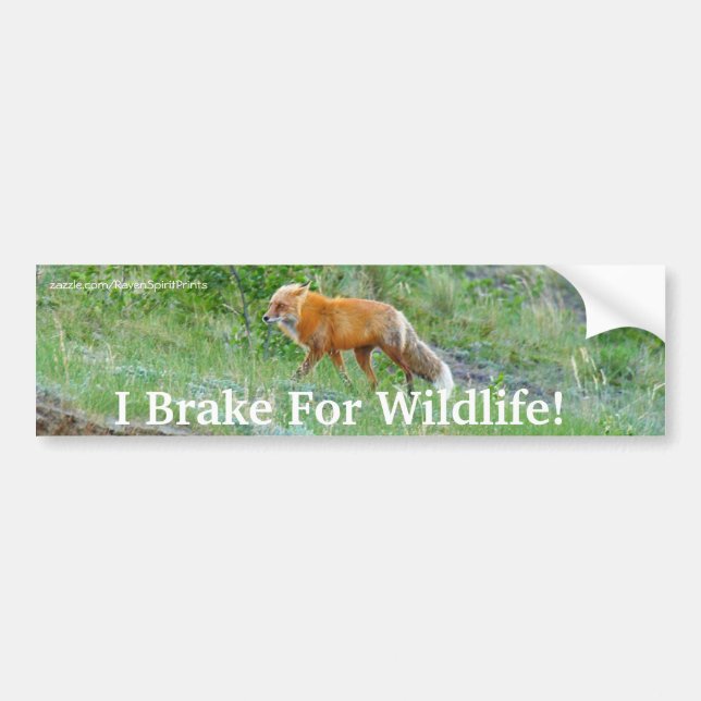Adesivo Para Carro Fox Willife Protection Bumper Sticker (Frente)