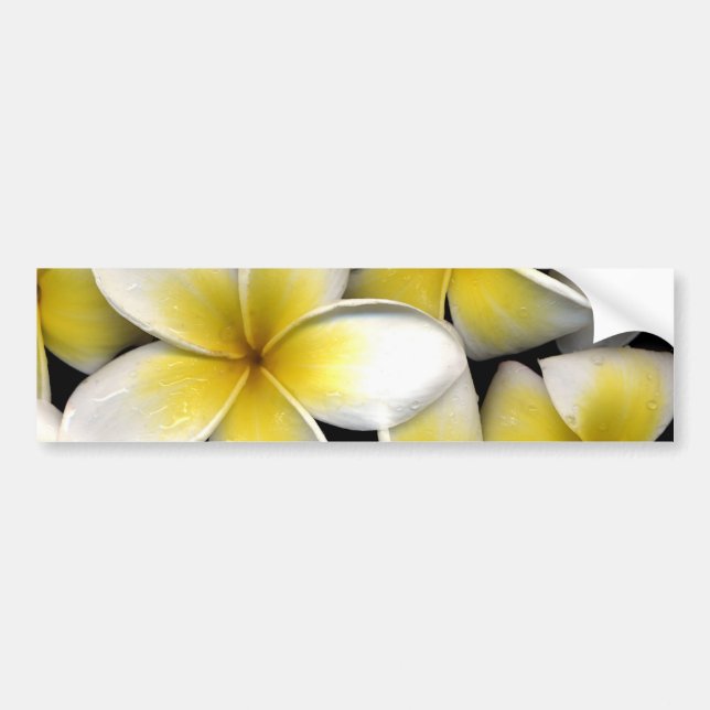 Adesivo Para Carro Frangipani (Frente)