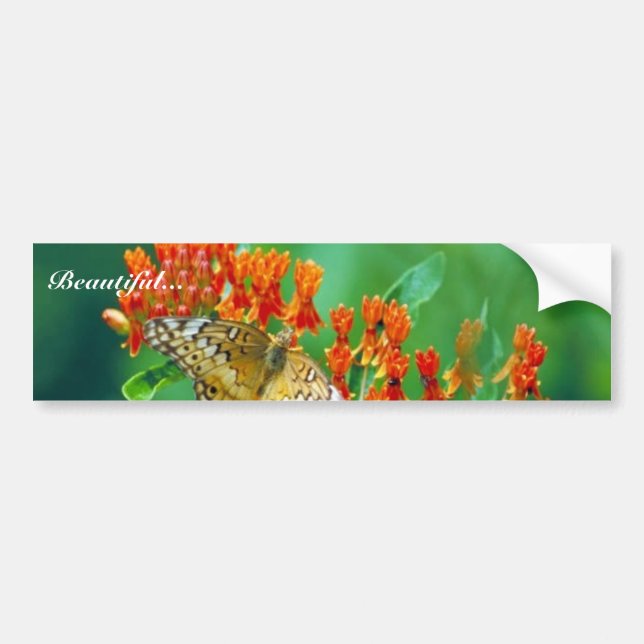 Adesivo Para Carro Fritillary de Varigated na erva daninha de (Frente)