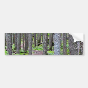 Adesivo Para Carro Fuga da floresta