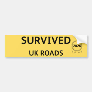 Adesivo Para Carro Fun Pothole Bumper Sticker SURVIVED UK ROADS 2026