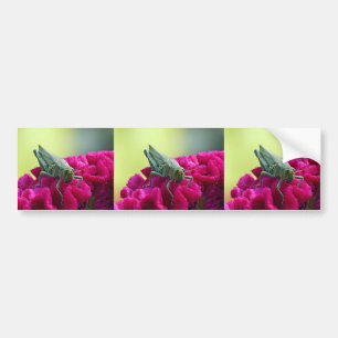 Adesivo Para Carro Gafanhoto em Cockscomb