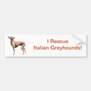 Adesivo Para Carro Galgo italiano