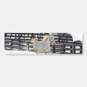 Adesivo Para Carro Galloping White Horse