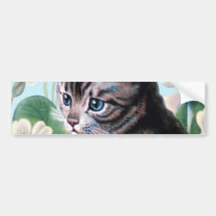 Adesivo Para Carro Gatinho bonito - arte do gato do vintage