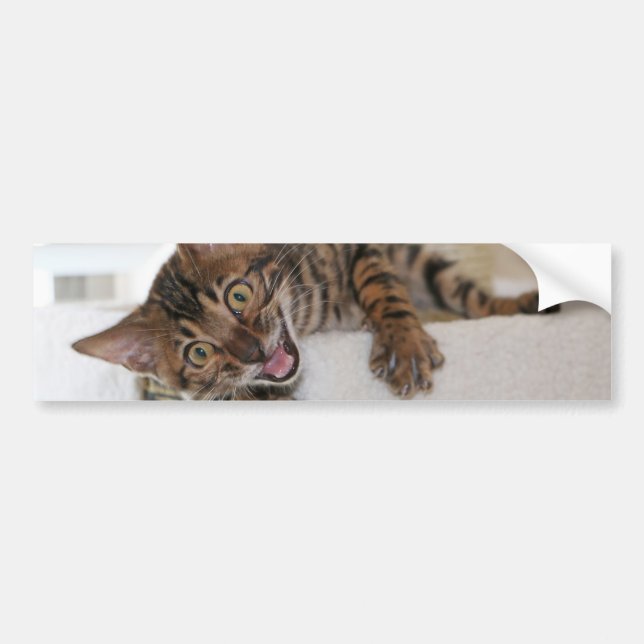ADESIVO PARA CARRO GATINHO DE RISO (Frente)