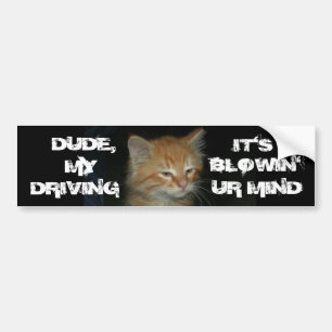 Adesivo Para Carro Gatinho "DUDE DRIVIN BLOWIN' UR MIND"