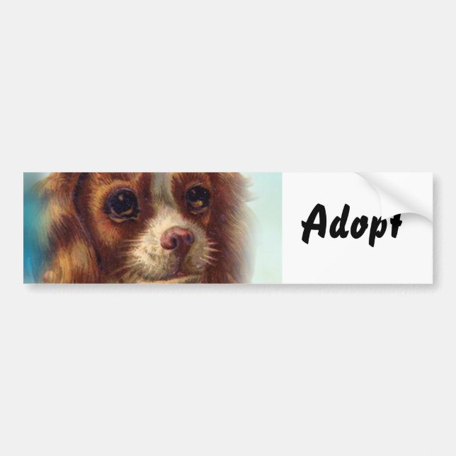 Adesivo Para Carro Gatinho Gato Cachorro Adotar Bumper Sticker (Frente)