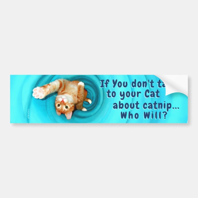 Adesivo Para Carro Gatinho Inspiration Bumper Sticker (Frente)