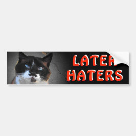 Adesivo Para Carro Gato Bigode Meme Diz Mais Tarde Inimigos