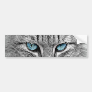 Adesivo Para Carro Gato Cinza Longo Cabelo Olhos Azuis Verdes Pet Ani