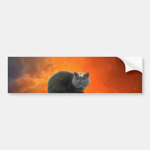 Adesivo Para Carro Gato com flor
