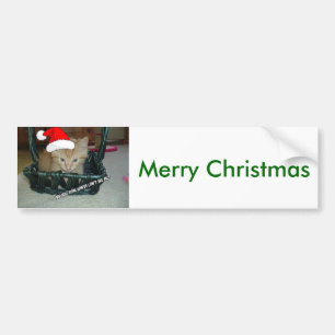 Adesivo Para Carro Gato de Gato de Gato de Tabby de Laranja Natal