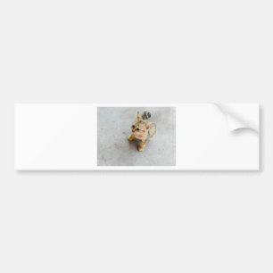 Adesivo Para Carro Gato de gato selvagem
