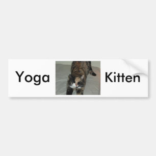 Adesivo Para Carro Gato de Yoga Calico