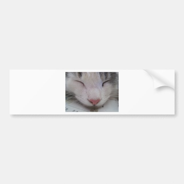 Adesivo Para Carro Gato Dormindo (Frente)