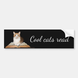 Adesivo Para Carro Gato literário educado do gatinho