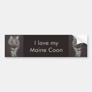 Adesivo Para Carro Gato Maine Coon