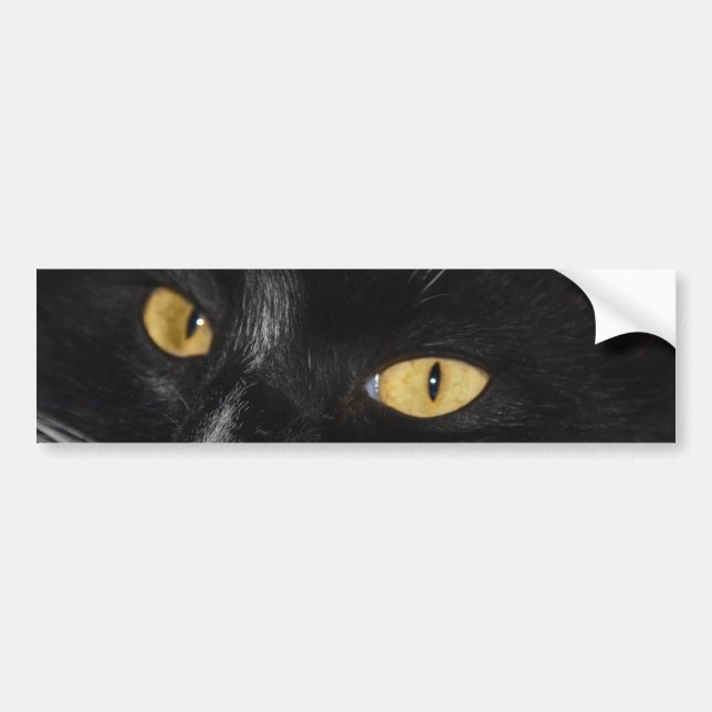 Adesivo Para Carro Gato preto (Frente)