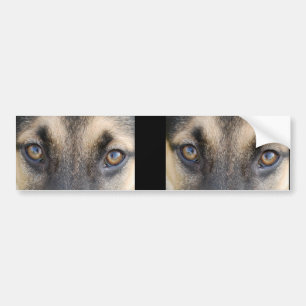 Adesivo Para Carro German shepherd