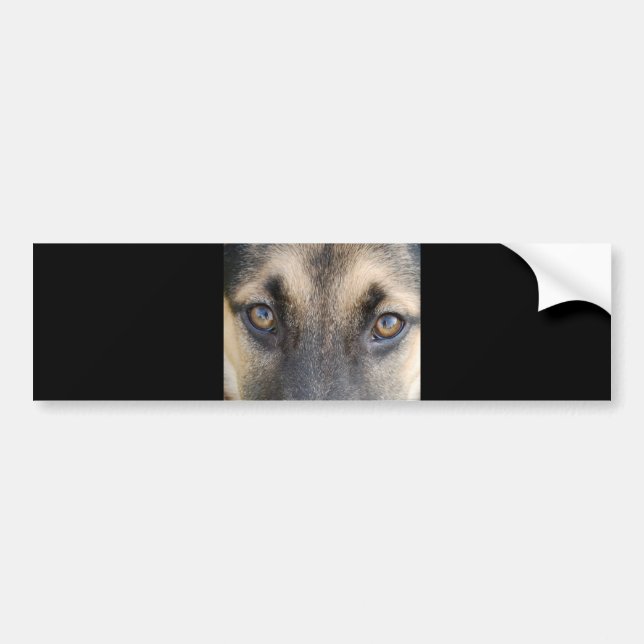 Adesivo Para Carro German shepherd (Frente)