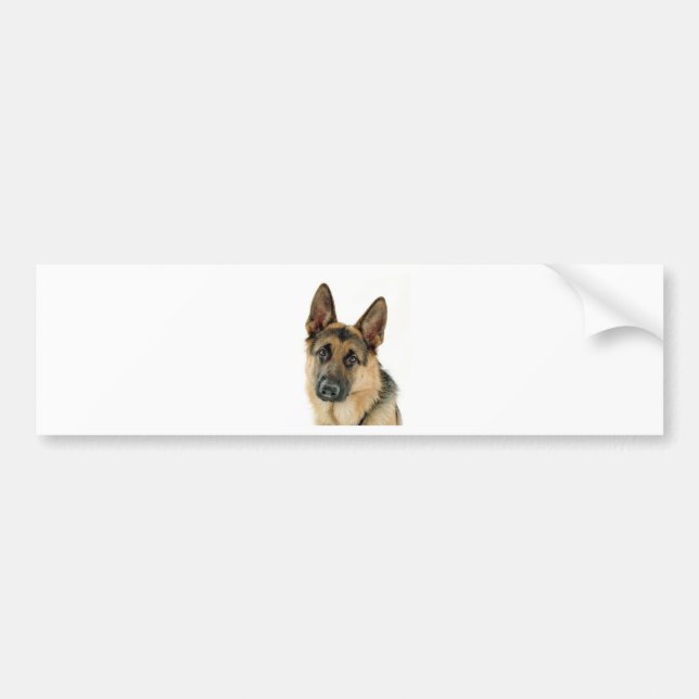 Adesivo Para Carro German shepherd (Frente)