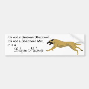 Adesivo Para Carro German shepherd de Malinois NÃO