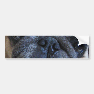 Adesivo Para Carro Get Well Soon Sick Pug Dog