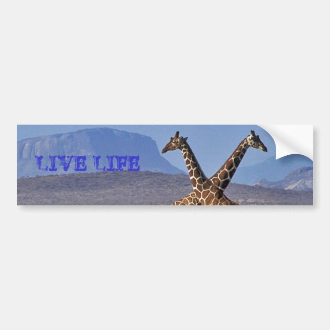 Adesivo Para Carro girafas [1], VIDA VIVA (Frente)