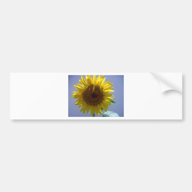 Adesivo Para Carro Girassol Amarelo (Frente)